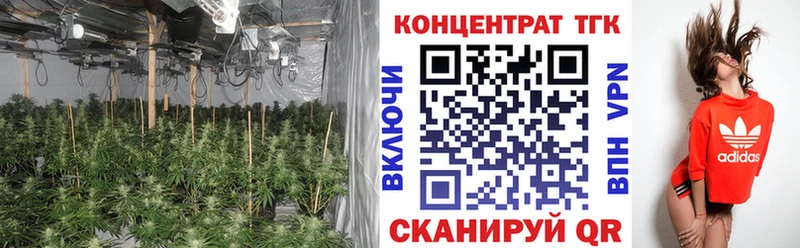 сколько стоит  Болхов  ТГК гашишное масло 