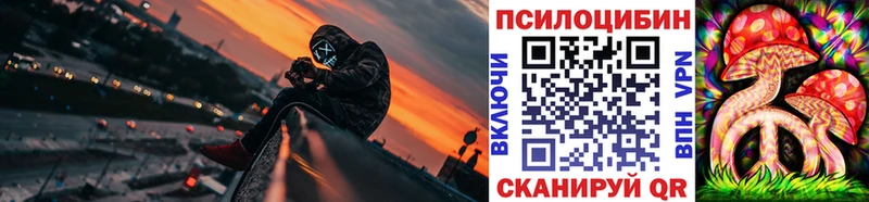 Псилоцибиновые грибы Psilocybe  дарнет шоп  Болхов 