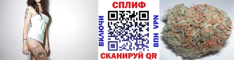 Конопля ГИДРОПОН  как найти наркотики  Болхов 